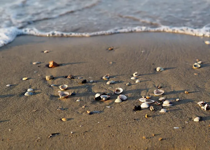 One-bedroom Flat With Balcony And Ac * Bibione